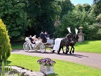 Prestige Wedding Carriages 282239 Image 6